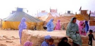 Solidarietà per il popolo Saharawi, anche il Comune di Ravenna ha partecipato all’invio di un container con presidi sanitari e integratori