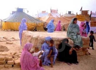 Solidarietà per il popolo Saharawi, anche il Comune di Ravenna ha partecipato all’invio di un container con presidi sanitari e integratori