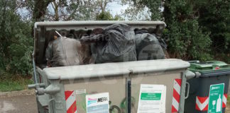 Comitato cittadino Lidi Nord: “quale criterio viene scelto per lo svuotamento dei cassonetti?”