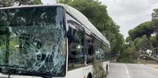 Paura a Marina di Ravenna: Pino cade sull’autobus | FOTO