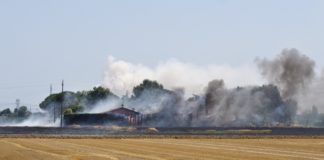 Grosso incendio a San’Antonio, le fiamme lambiscono le case. Vigili del fuoco all’opera