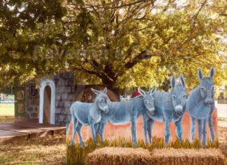 Russi: Alla Rocca T. Melandri va in scena “L’asinella bianca”