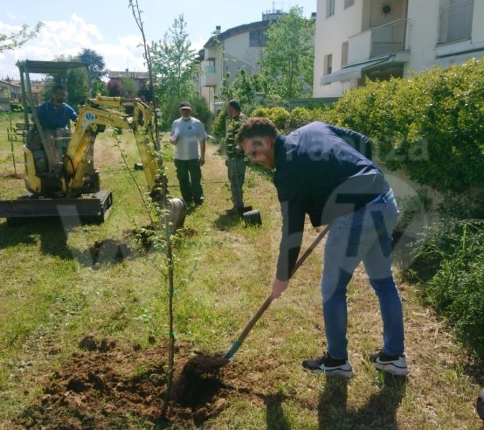 Castel Bolognese_Piantumazione Alberi (Sindaco Della Godenza) 2