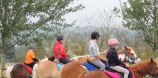 Castel San Pietro Terme, associazione CavalcaVia: La vera inclusione sociale? Con l’ippoterapia si azzerano le “differenze”