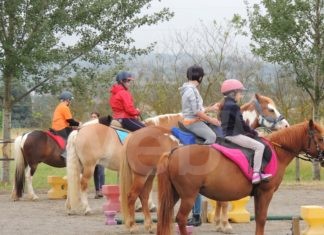 Castel San Pietro Terme, associazione CavalcaVia: La vera inclusione sociale? Con l’ippoterapia si azzerano le “differenze”