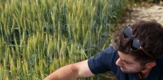 Bilancio 2021 Terremerse: consolidato da 270 milioni di €