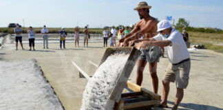 Cervia, visite guidiate: Insieme ai salinari alla Salina Camillone