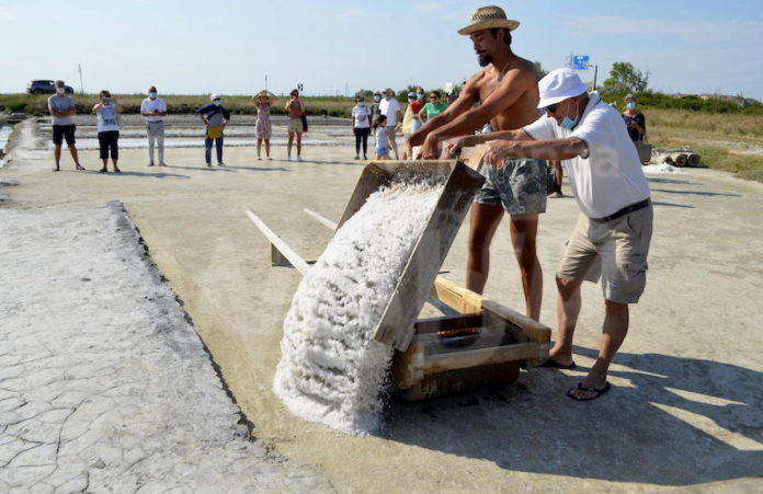 Cervia-visite guidate alla Camillone