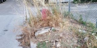 La Pigna: Degrado a Borgo Montone