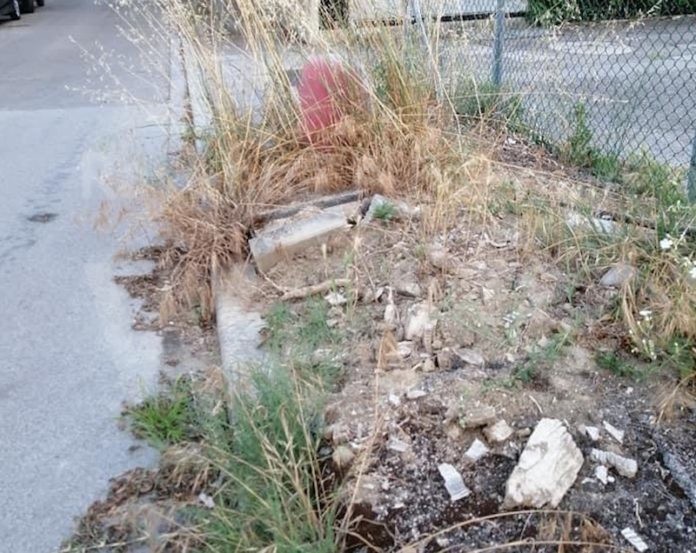 F8A2CC95-C06E-4B2C-87E8-AC867FCFE44D (1)