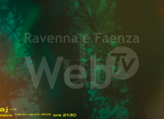 Elementi: venerdì nel Bosco di Fusignano live JH Guraj