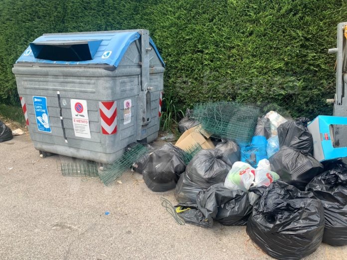 IMG-20220607-WA0018 (1)