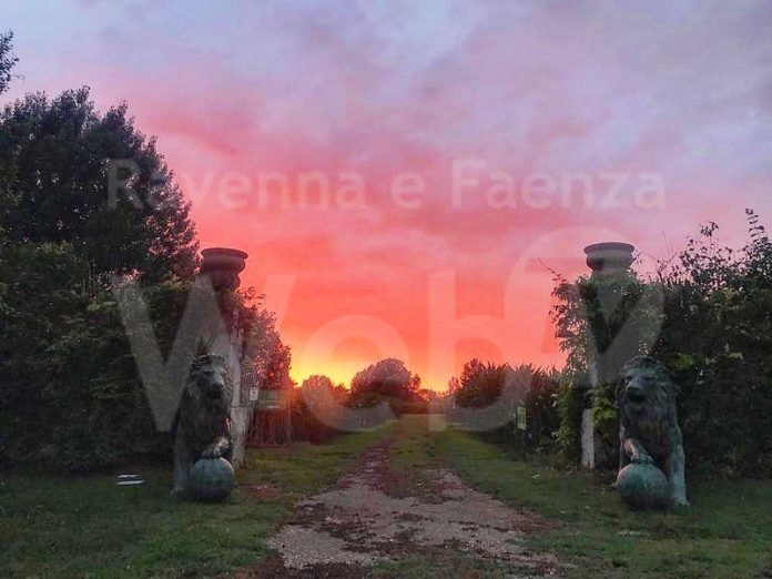 IMG-20220610-WA0004 (1)