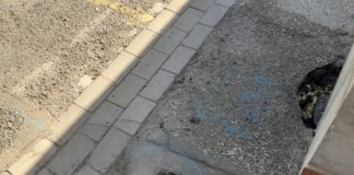 Di Pasquale (FdI): Via dell’Abete a Ponte Nuovo, ripristino manto stradale e messa in sicurezza chiusino in ghisa