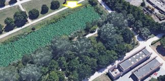 Esposito (FdI), Parco Teodorico: messa in sicurezza della recinzione nel laghetto artificiale