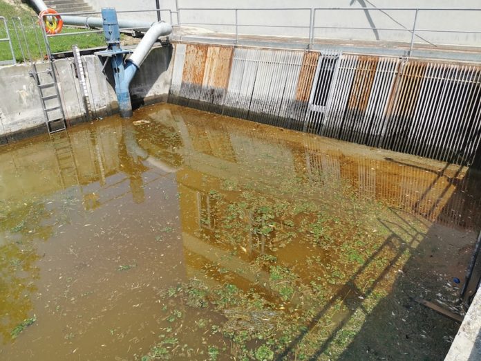 Lo sversamento nel fosso Diversivo in valle, giugno 2022 (2)