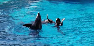 Notte Rosa nei parchi Costa: animazione e soprese in pink e a Oltremare arriva Gessica Notaro