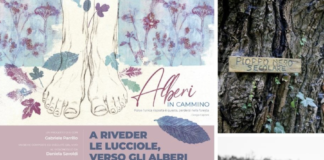L’anteprima di Alberi in Cammino, Sabato all’oasi Podere Pantaleone di Bagnacavallo