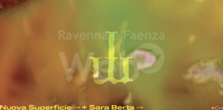 Elementi: Nuova Superficie e Sara Berts alla Galleria vegetale di Cotignola