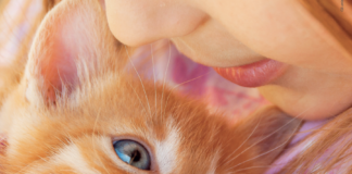 2 e 3 luglio giornata nazionale Enpa contro l’abbandono