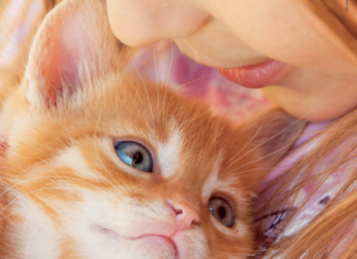 2 e 3 luglio giornata nazionale Enpa contro l’abbandono