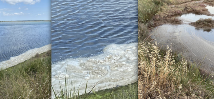 Schermata 2022-06-30 alle 10.36.29