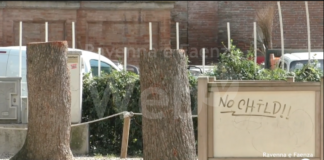 Parco di San Francesco: sculture in legno al posto dei cedri tagliati | VIDEO