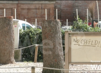 Parco di San Francesco: sculture in legno al posto dei cedri tagliati | VIDEO