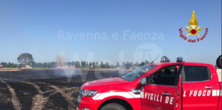 Ancora a fuoco le coltivazioni: interventi in tutta la provincia