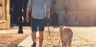 Faenza: Una passeggiata in centro con i cani in favore di Enpa