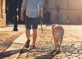 Faenza: Una passeggiata in centro con i cani in favore di Enpa