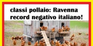 Ravenna in Comune, scuole: Ravenna ha i pollai più affollati d’Italia