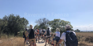 Pillole di archeologia : Visite guidate in bicicletta agli scavi archeologici in Salina