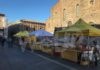 Faenza: I produttori agricoli del territorio tornano nel centro manfredo