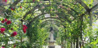 Cervia: Visite guidate alla Casa delle Aie e all’Orto Botanico dei Frutti Dimenticati