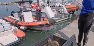 Guardia Costiera e Cestha: rilasciata in mare la tartaruga marina chiamata “Gelo”
