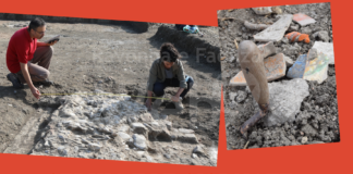 Cervia e le Giornate Europee dell’Archeologia. Domenica alla Darsena del Sale