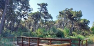 Passerella ciclopedonale a Marina Romea: ultimati i lavori di manutenzione conservativa