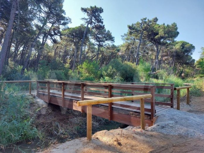 22-07-19 foto passerella Marina Romea