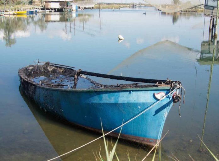 291718669_549909190114970_2360549422386776921_n