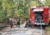 Fusignani (Pri), incendio pineta Ramazzotti: pensare seriamente a misure fattive che impediscano le presenze improprie