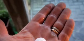 Tanta grandine e poca pioggia: da Conselice e Brisighella il maltempo investe frutteti e vigneti