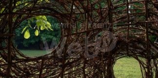A Cotignola un’alba di festa per costruire l’Arena delle balle di paglia