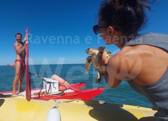 IMG-20220713-WA0066_2