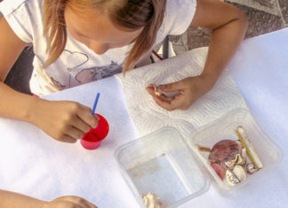 Conchigliamo Summer Lab, due appuntamenti sui lidi ravennati fra giovedì e venerdì