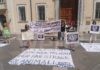 Associazioni animaliste: sit-in a difesa dei daini della pineta di Classe e di Lido di Volano