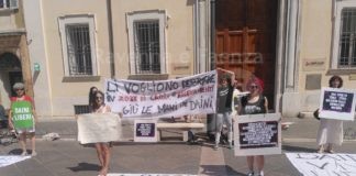 Associazioni animaliste: sit-in a difesa dei daini della pineta di Classe e di Lido di Volano