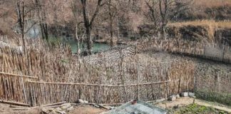 Fiumi puliti in Romagna, inizia la rimozione dei rifiuti e la sistemazione degli argini nella provincia di Ravenna