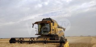 Cooperative Agricole Braccianti di Ravenna: si chiude un’annata complessa per i cereali. Unica eccezione l’orzo