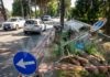 Cade un albero in viale degli Insorti e colpisce un furgone in transito